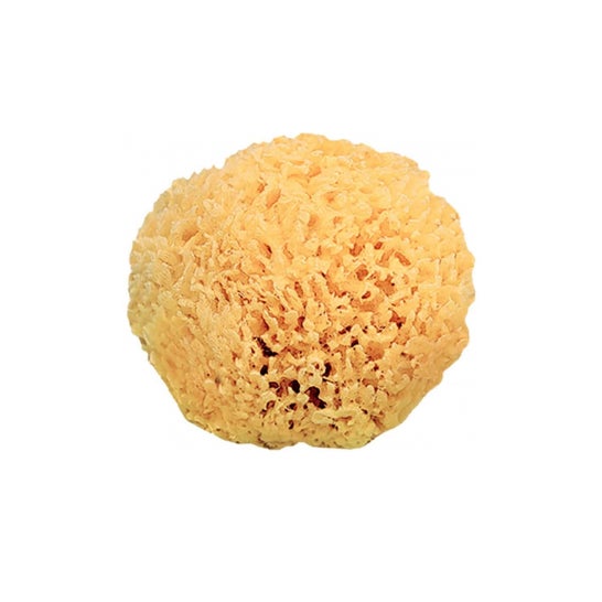 Saro Éponge naturelle +0m