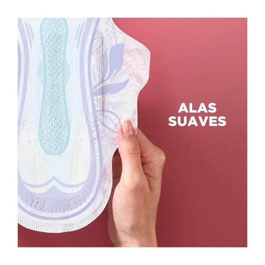 Ausonia Ultrafina Plus Compresas Normal Alas 16uds Ausonia Ultrafina Plus Compresas Normal Alas 16uds