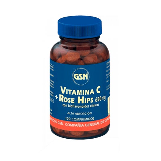 GSN Vitamine C+rose Hips 100comp