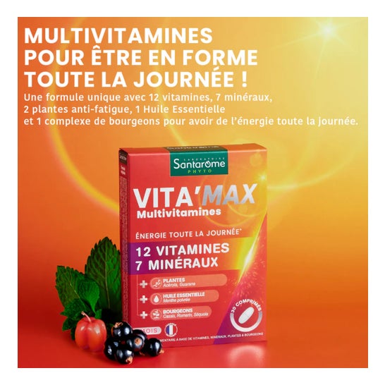 Santarome Phyto Vita'Max Multivitamines Goût Citron Vert 20 Comprimés Santarome Phyto Vita'Max Multivitamines Goût Citron Vert 20 Comprimés