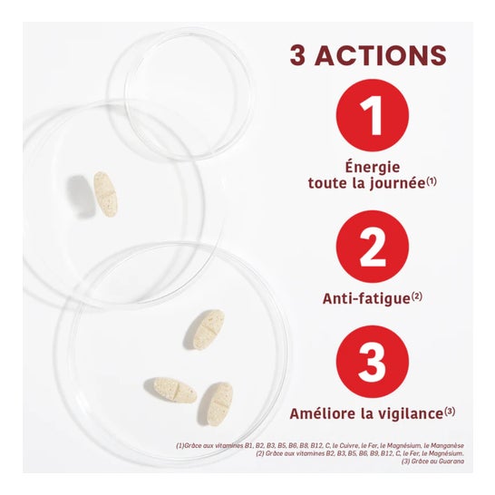 Santarome Phyto Vita'Max Multivitamines Goût Citron Vert 20 Comprimés Santarome Phyto Vita'Max Multivitamines Goût Citron Vert 20 Comprimés