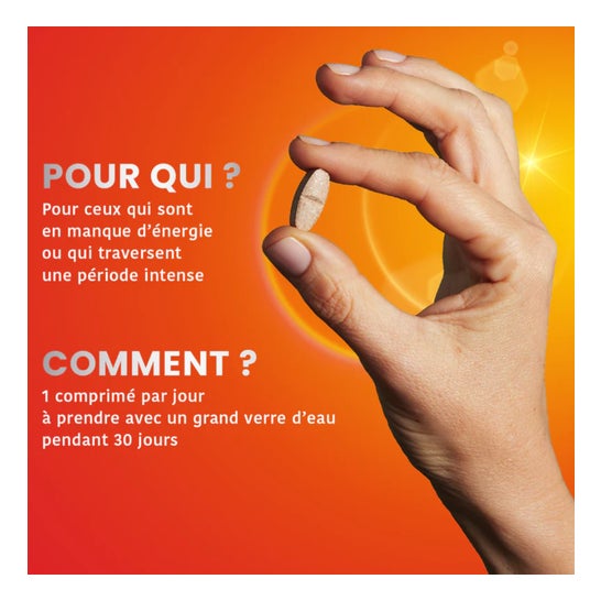 Santarome Phyto Vita'Max Multivitamines Goût Citron Vert 20 Comprimés Santarome Phyto Vita'Max Multivitamines Goût Citron Vert 20 Comprimés