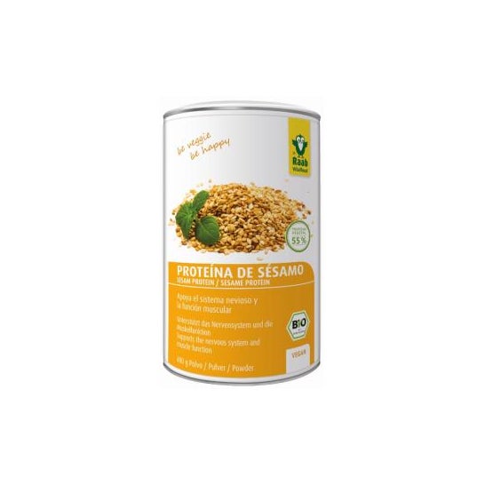 Thé Vert Matcha Biologique pour la Cuisine, 100 g - Raab Vitalfood