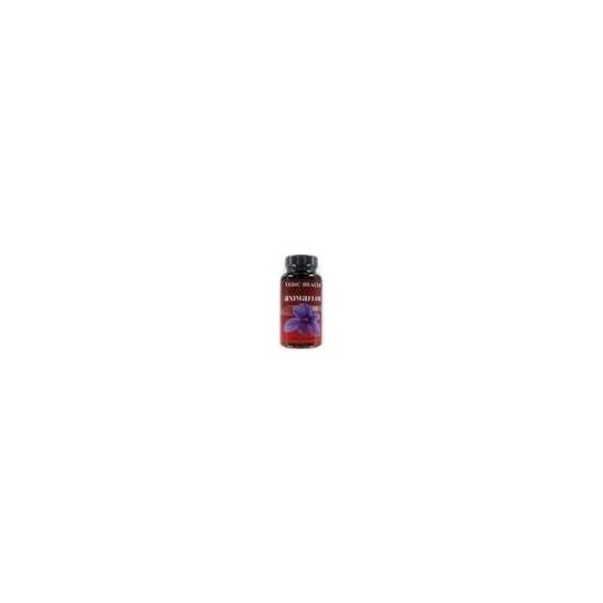 Vbyotics Animaflor (Ext Saffron) 60 Caps