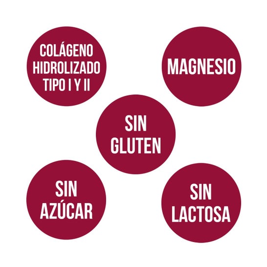 Ana Maria Lajusticia Collagène + Magnésium 450 Comprimés