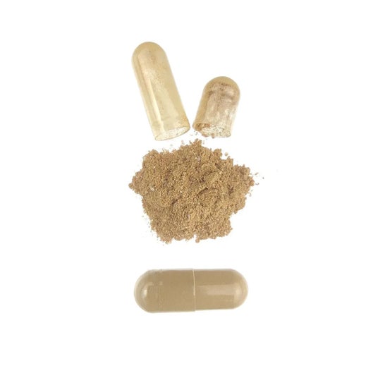 HSN Extracto de Alcachofa 20:1 500mg 120vcaps