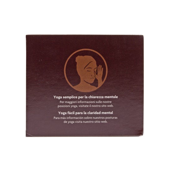 Yogi Tea Choco 17 Sachets