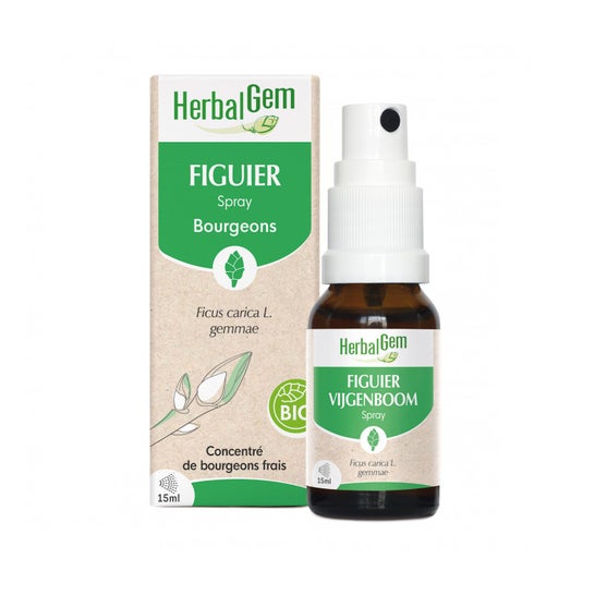 Herbalgem Spray Figuier 15ml