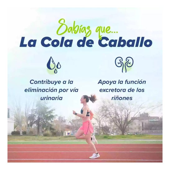 HSN Extracto de Cola de Caballo 4:1 500mg 120vcaps