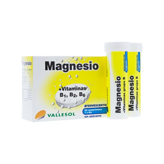 Vallesol magnésium et vitamines 24comp effervescent effervescent