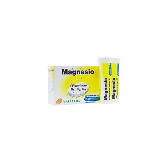Vallesol magnésium et vitamines 24comp effervescent effervescent
