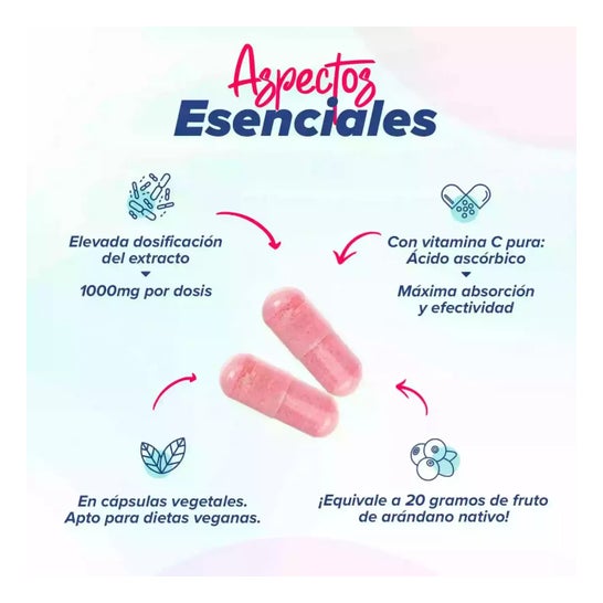 HSN Extracto de Arándano Rojo 20:1 500mg 120vcaps