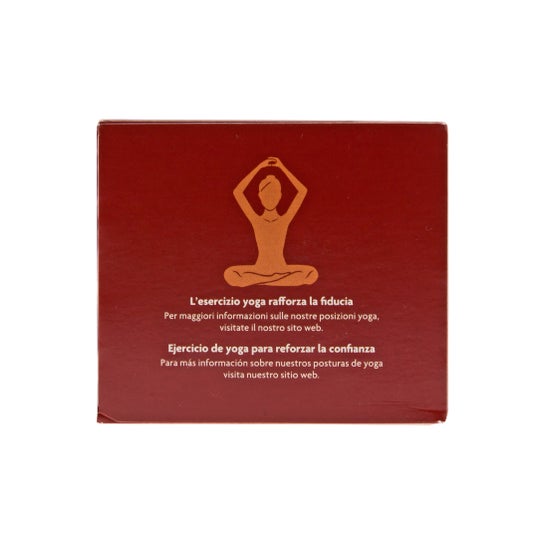 Thé Yogi Buenos Sueños rooibos vanille 17 sachets