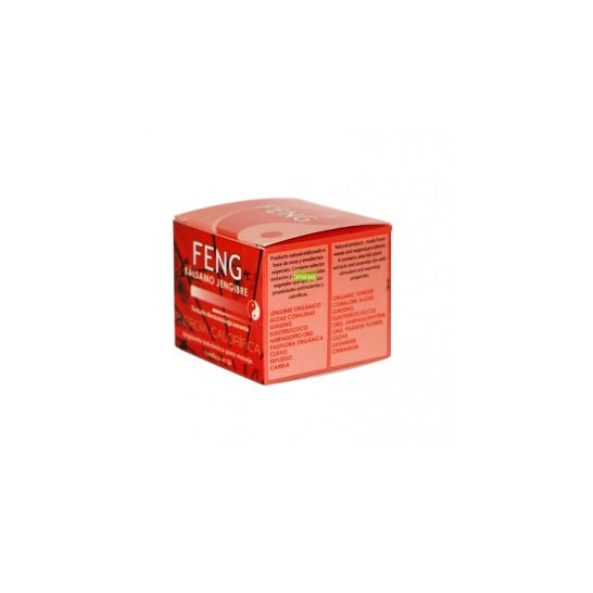 Feng Shui Feng Shui Baume au gingembre effet chaleur 50ml