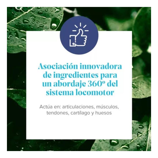 ARKOFLEX EXPERT COLLAGÈNE ARKOFLEX ARKOFLEX EXPERT COLLAGÈNE ARKOFLEX