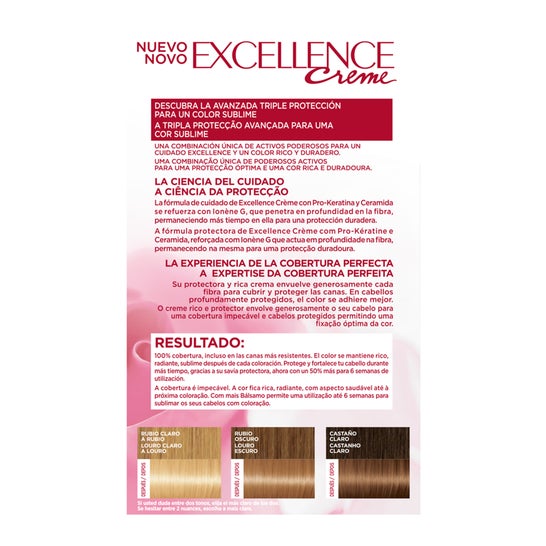 L'Oréal Set Excellence Creme Hair Color 93-Light Golden Light Blonde