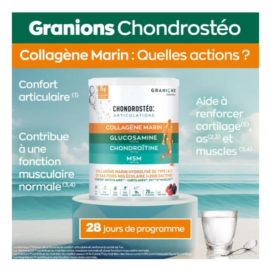 Granions Collagène Marin Chondrostéo+ 280g