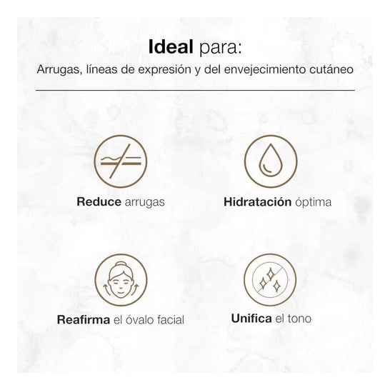 Bella Aurora Splendor10 Nuit 50 ml Bella Aurora Splendor10 Nuit 50 ml