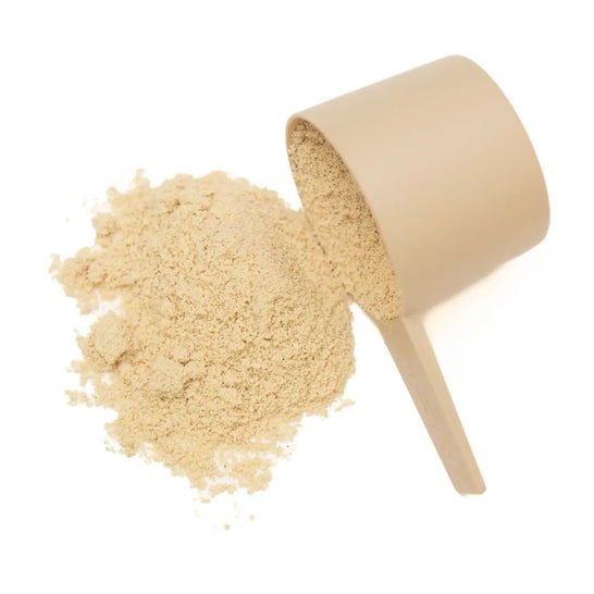 HSN Evowhey Protein Sin Edulcorantes Canela 500g