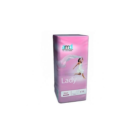Amd Lady Prot Inc Ros Maxi Sach16