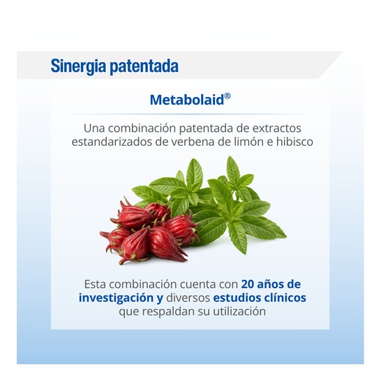 Lamberts Soutien Métabolique du Poids 60 gélules
