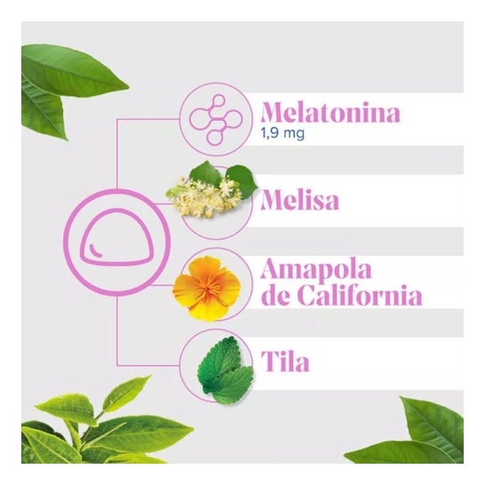 Arkopharma ArkoRelax Sommeil Gummies Sans Sucre 30 Gummies Arkopharma ArkoRelax Sommeil Gummies Sans Sucre 30 Gummies