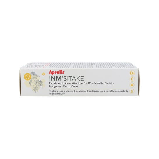 Inm'shitake 60 Casquette Intersa