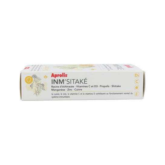 Inm'shitake 60 Casquette Intersa