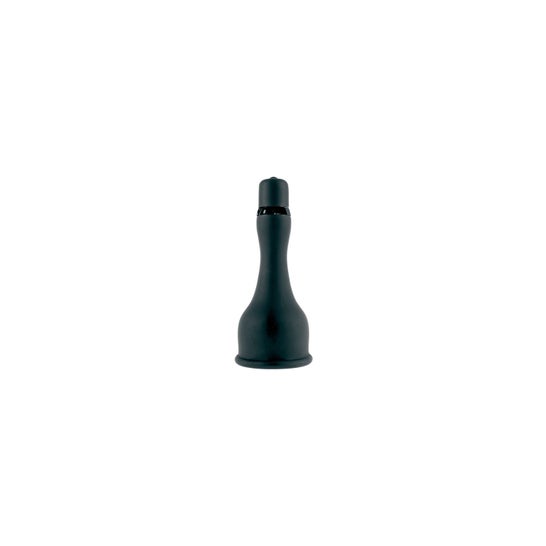 Fetish Fantasy Series Vibrator Master Glans 1ud