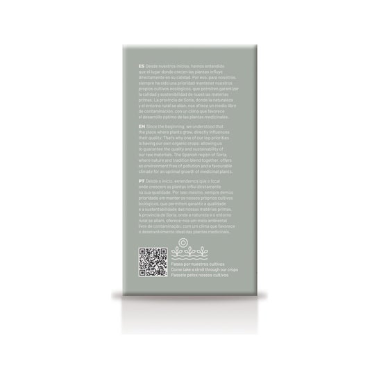 Soria Natural Rosemary Infusion 20 filtres