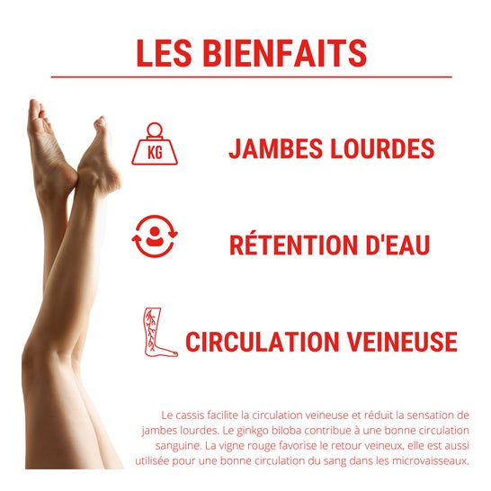Laboratoires Enova Formule Circulation 60 Gélules