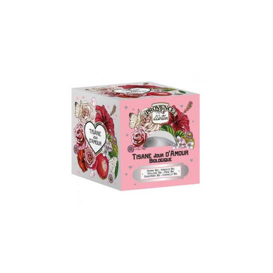 Cube de Noël Thé Bio Pain d’épices Pamplemousse - 24 sachets