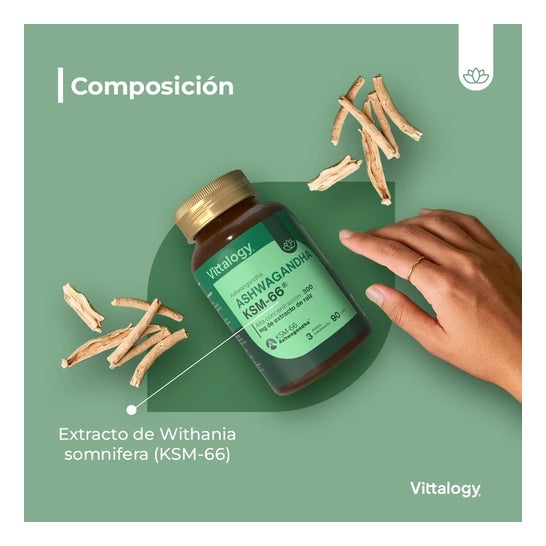 Vittalogy Ashwagandha KSM-66 90 capsules