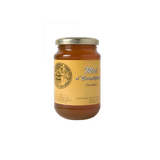 Cal Valls miel d'eucalyptus 500g