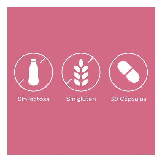 Cumlaude Lab Gineseda 30 Capsules