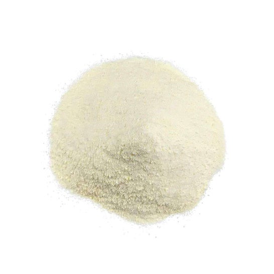 HSN Evopept 2.0 Peptopro® Piña 500g