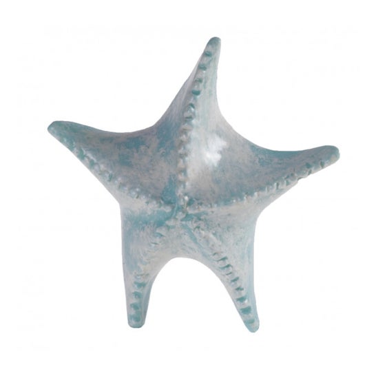 Gio de Giovanni Sea Treasures Starfish Moisturizing Lip Balm 1ut