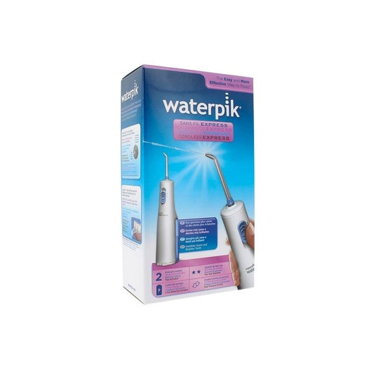 Waterpik Flosser Pila 1ud