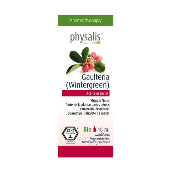 Physalis Wintergreen huile essentielle Bio 10ml