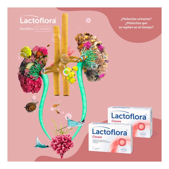 Lactoflora Ciscare 30 Capsules