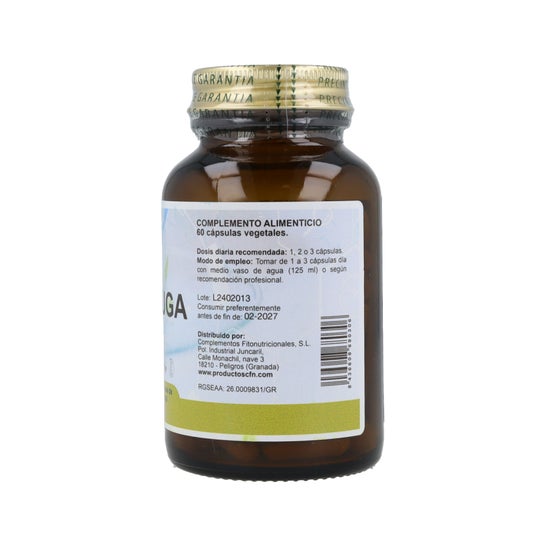CFN Cimicifuga Racemosa St 60comp