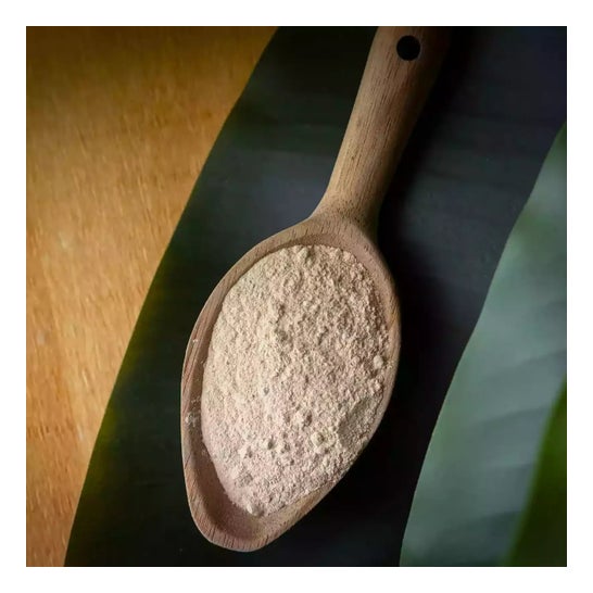 HSN Maca en Polvo 500g