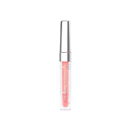 Wibo Color Water Lip Gloss Nº4 2,6g