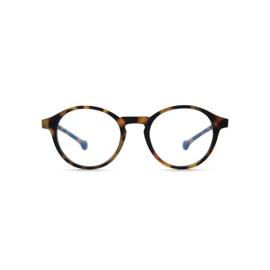 Parafina Gafas Volga Tortoise Carey +3.00