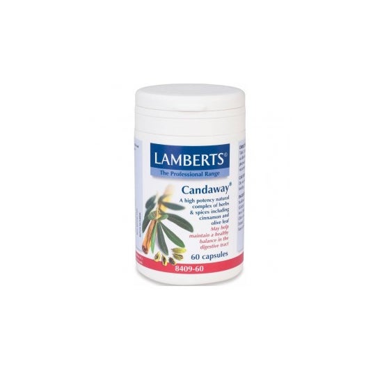 Candaway 60 Cap Lamberts 60 Cap Lamberts