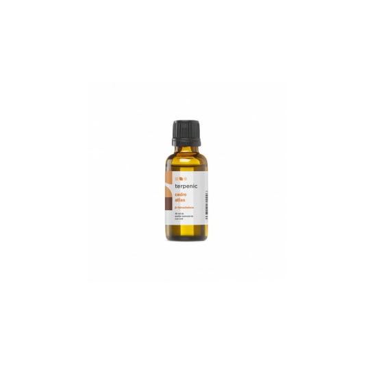 Terpenic Cèdre de l'Atlas 30ml Terpenic Cèdre de l'Atlas 30ml