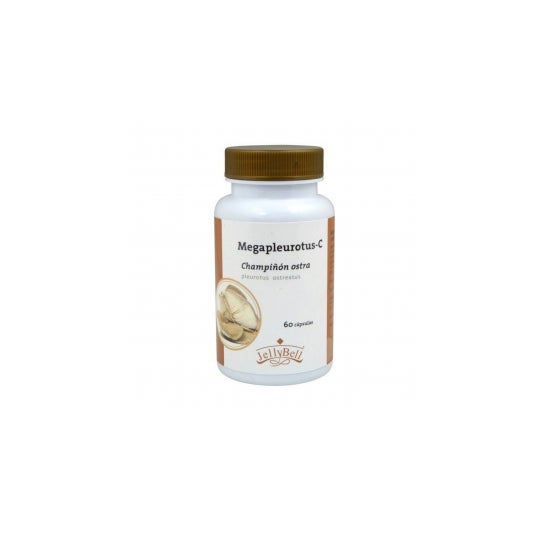 Auroshikha Jardin de la nature Cônes d'encens parfumés 20pcs
