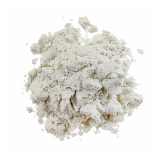 HSN Evocasein 2.0 Caseína Micelar + Digezyme® Speculoos 500g