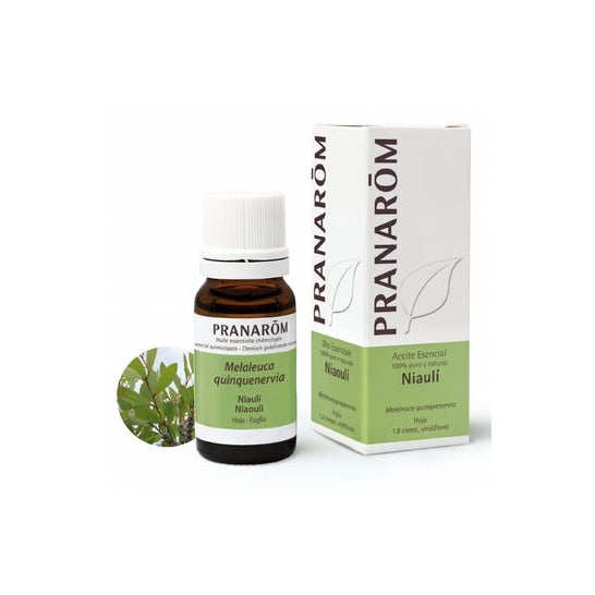 Pranarôm Huile Essentielle Niaouli Bio 10ml