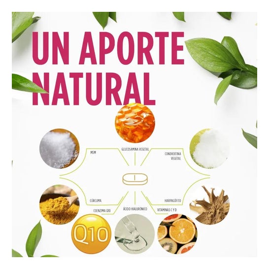 Eladiet Regen&Dol Articulaciones 30comp Eladiet Regen&Dol Articulaciones 30comp